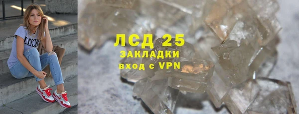 индика Белоозёрский