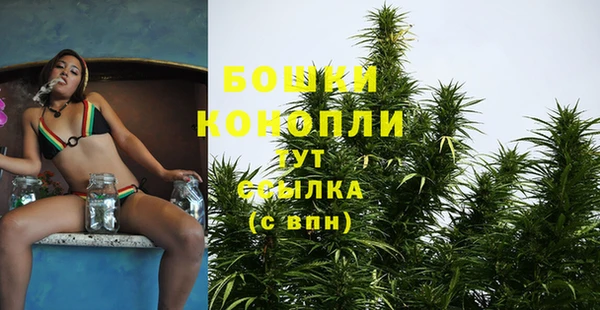 винт Белокуриха