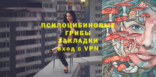 винт Белокуриха