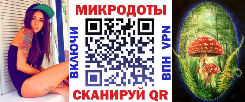 Галлюциногенные грибы прущие грибы  Мурманск 